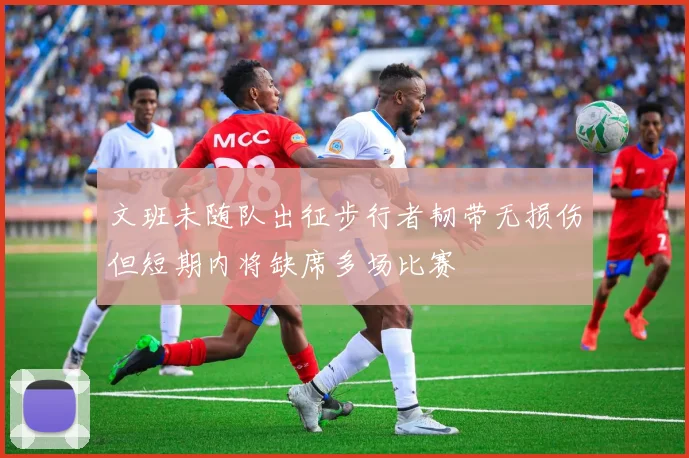 文班未随队出征步行者韧带无损伤但短期内将缺席多场比赛