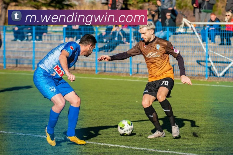 问鼎娱乐品牌故事